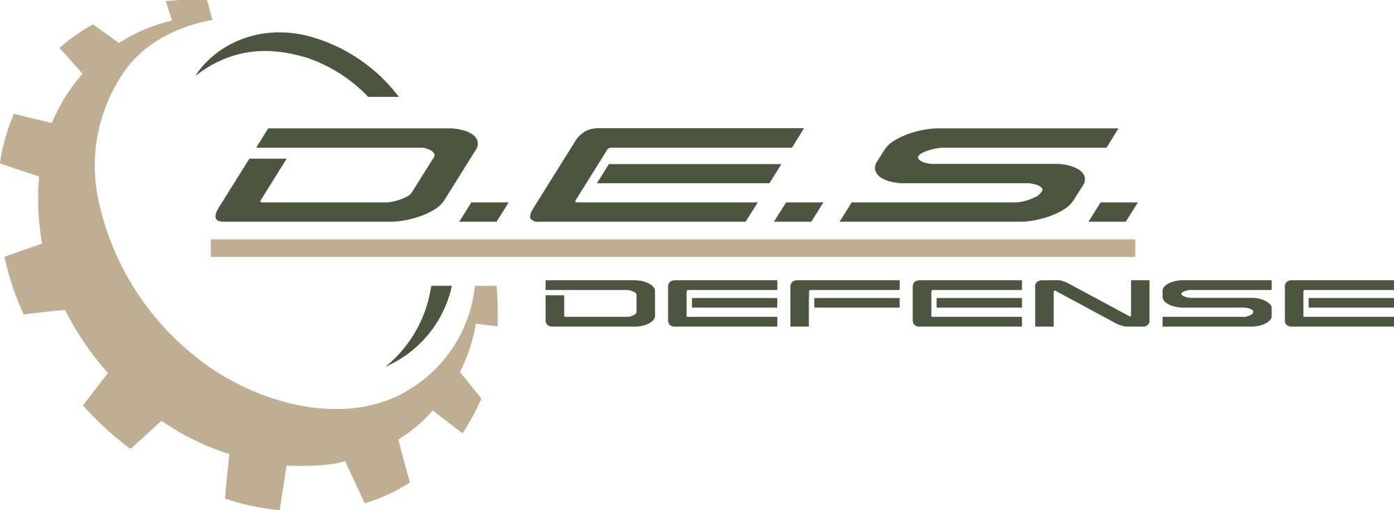 D.E.S Logo